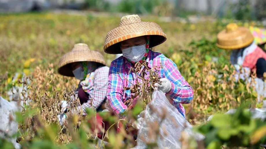 Xi's food self-sufficiency call marks latest turn inward