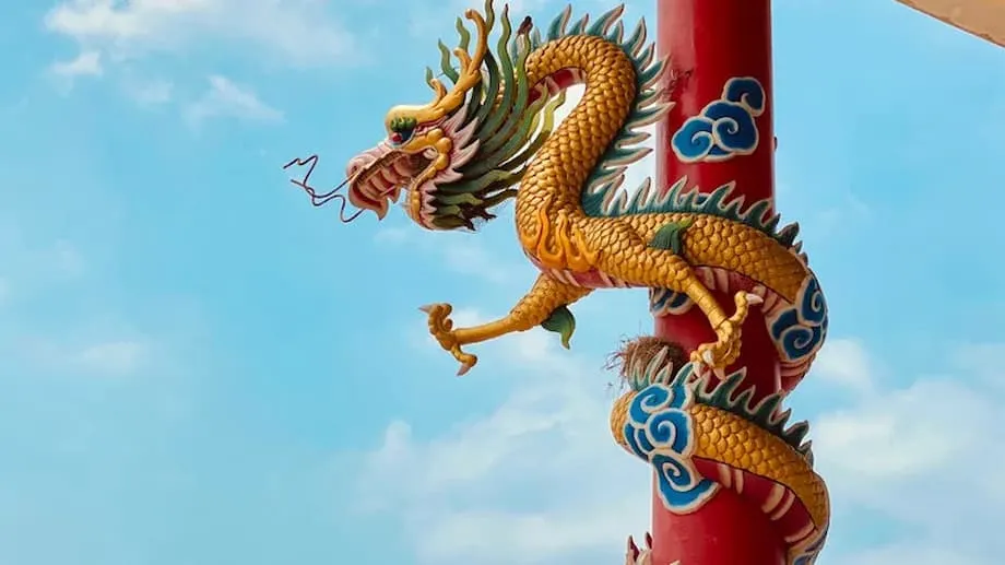 Descoberta de fóssil de “dragão” pré-histórico na China revela réptil aquático de pescoço longo do período Triássico