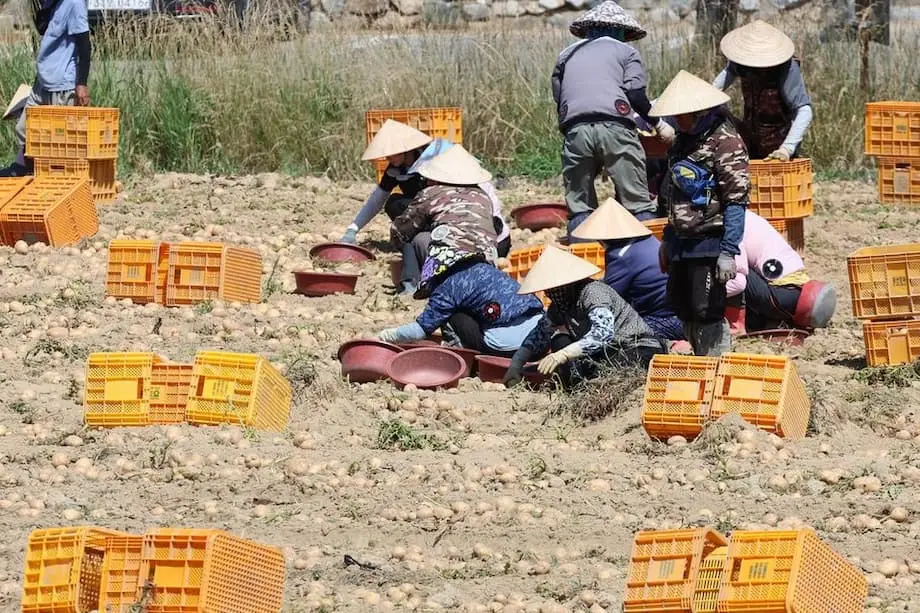 Coreia do Sul amplia campanha para incentivar o tratamento respeitoso de trabalhadores migrantes
