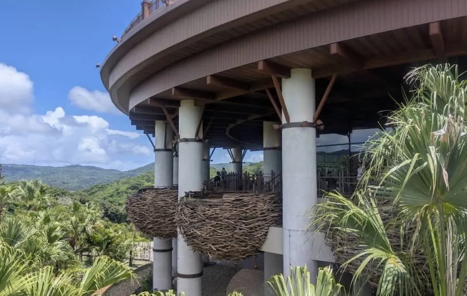Junglia: parque temático de dinossauros em Okinawa inaugura uma nova era de aventura e turismo