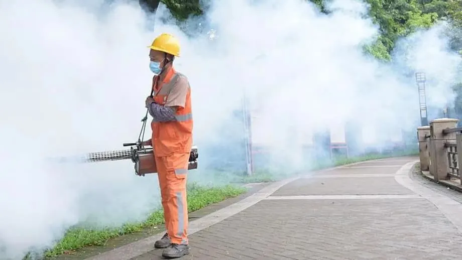Maior surto de chikungunya da China: como Guangdong está combatendo um vírus transmitido por mosquitos