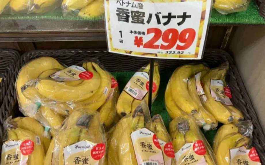 Bananas vietnamitas avançam no Japão: uma mudança no comércio de bananas da Ásia