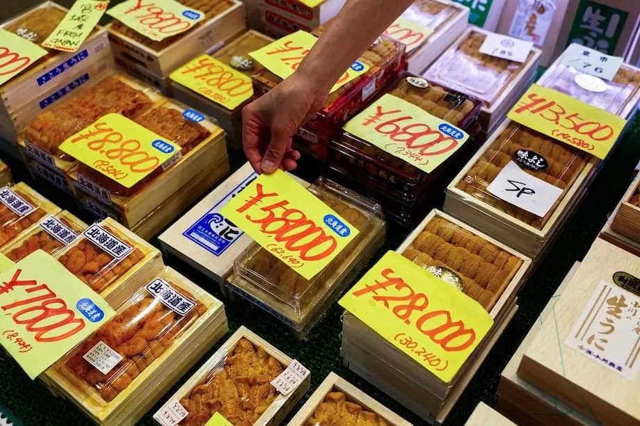Mares mais quentes e marés vermelhas: por que o ouriço-do-mar, iguaria do Japão, está ficando fora do alcance