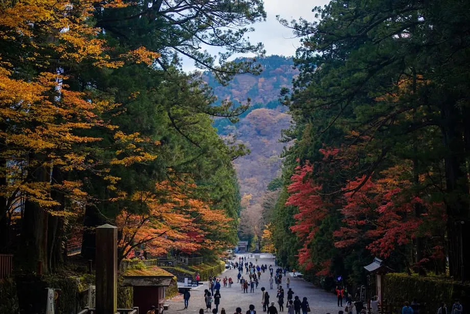 5 lugares para ver as primeiras folhas de outono no Japão