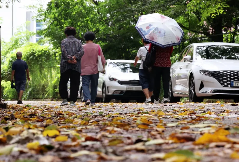 Alerta de La Niña na Coreia do Sul prevê períodos chuvosos no início do outono e possibilidade de ondas de frio antecipadas