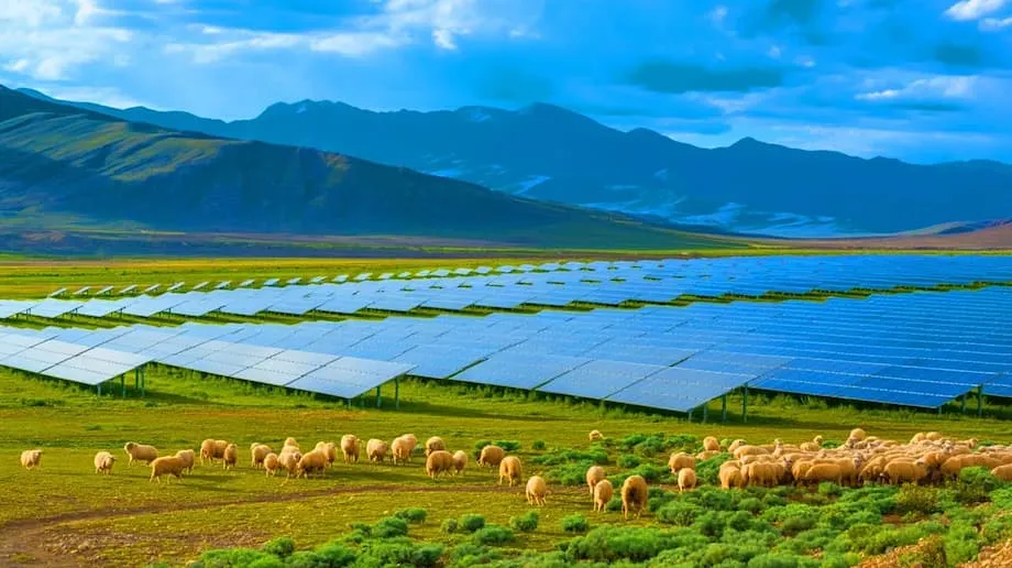 Enorme parque solar da China revitaliza ecossistema e fornece energia para milhões