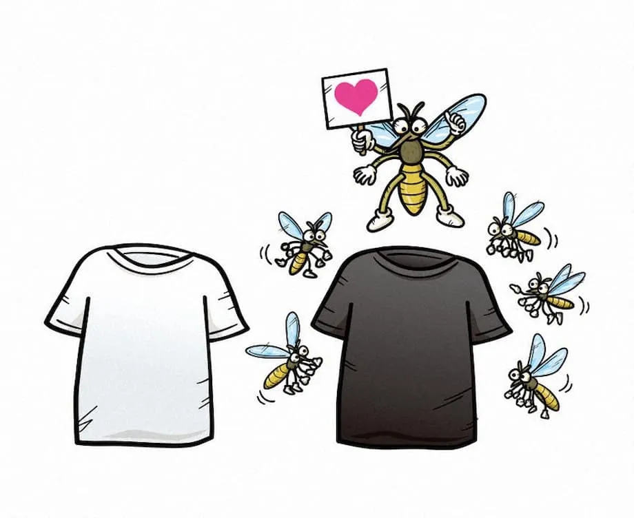 Por que os mosquitos ficam mais ativos no outono do Japão e como evitar picadas