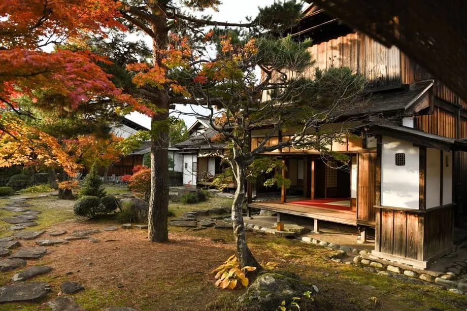 Três dias de momijigari: vivenciando as cores intensas do outono japonês