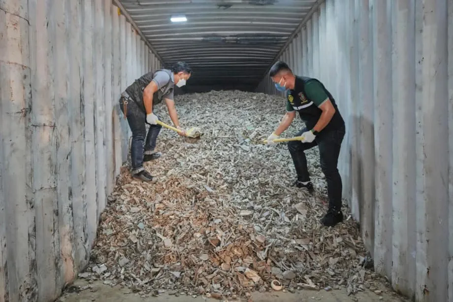 Exportações de lixo eletrônico dos EUA alimentam crise de poluição no Sudeste Asiático