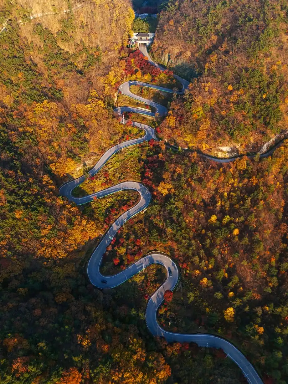 Coreia do Sul em 2026: cultura, novas trilhas e gastronomia que vale a viagem