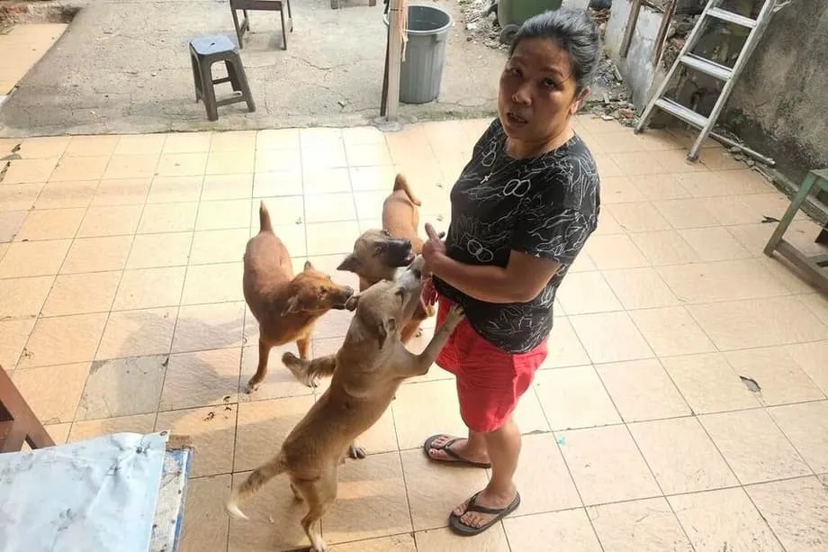 Jacarta se prepara para proibir carne de cachorro e gato diante do aumento das preocupações com saúde e bem-estar animal