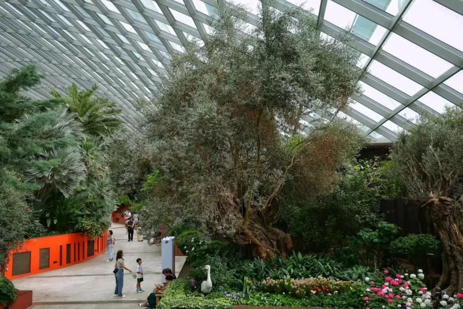 10 lugares inspiradores em Singapura que transformam passeios em família em aprendizado