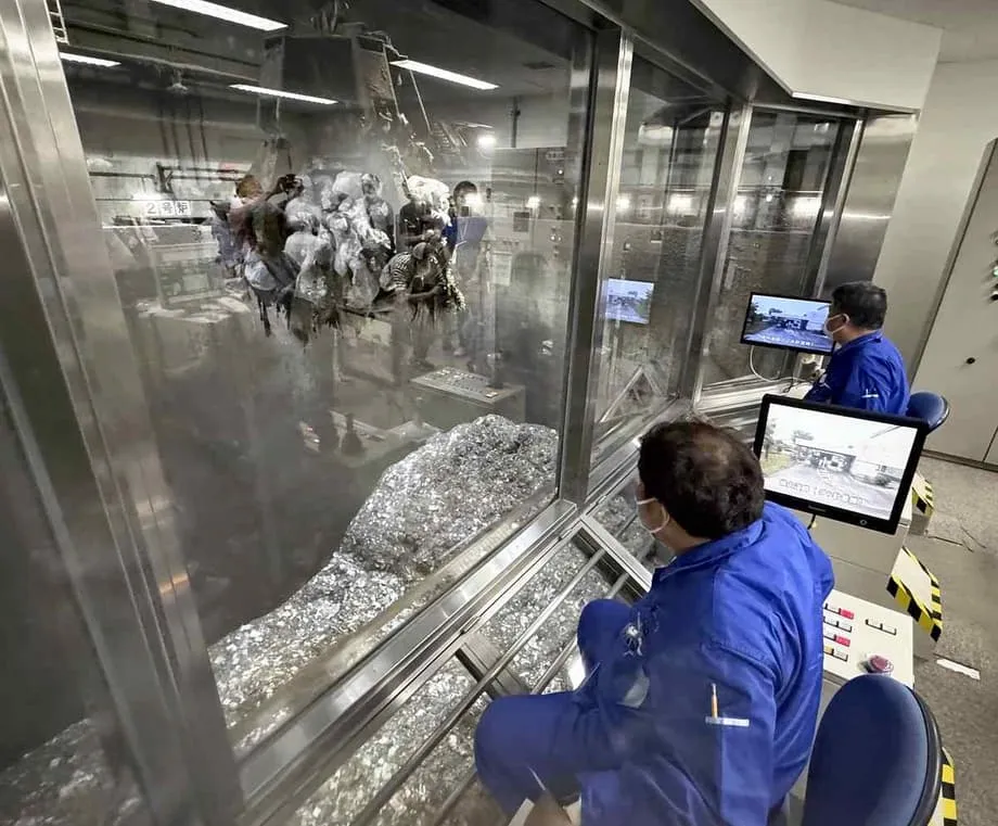 Por dentro dos passeios de acesso restrito em Tóquio, da pista do aeroporto aos galpões do mercado
