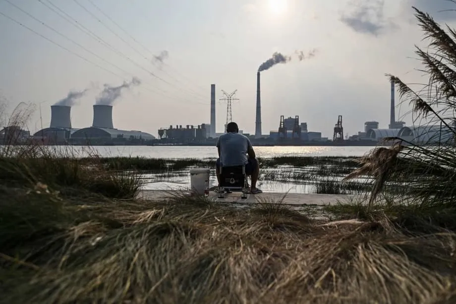 China não libera recursos para fundo florestal do Brasil e defende liderança dos países ricos na COP30