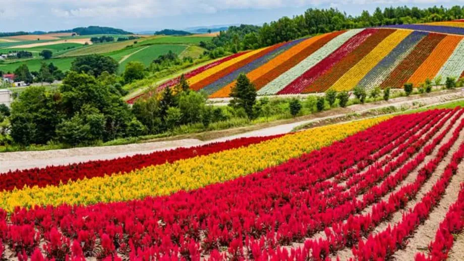 O ambicioso plano do Japão para transformar Hokkaido em um polo global de chips