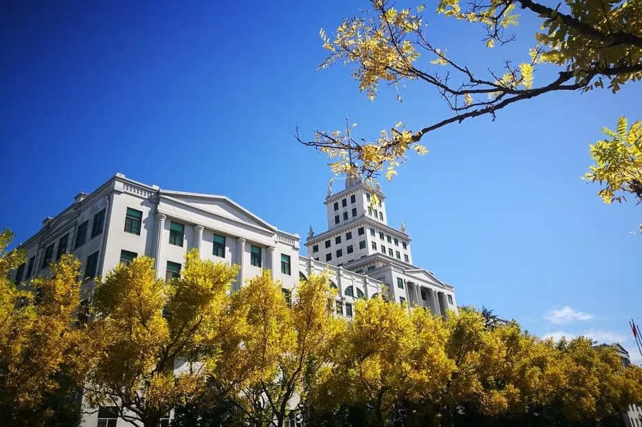 China testa doutorado baseado em produto enquanto universidades priorizam resultados práticos