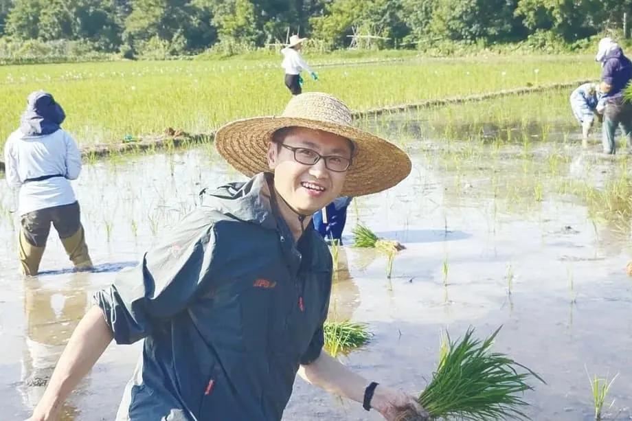 Avanço da China com arroz híbrido clonal pode revolucionar a segurança alimentar global