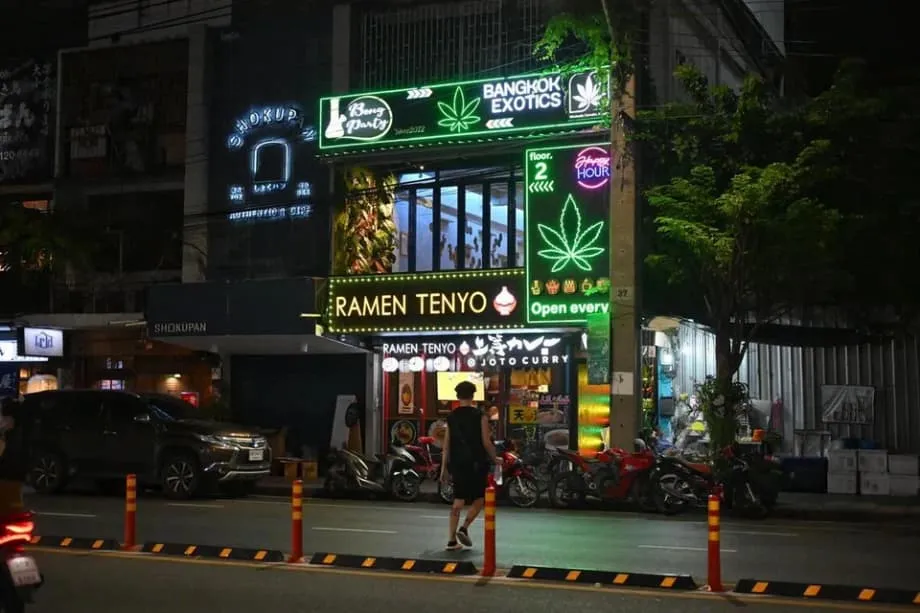 O experimento da cannabis na Tailândia: da esperança econômica à preocupação social