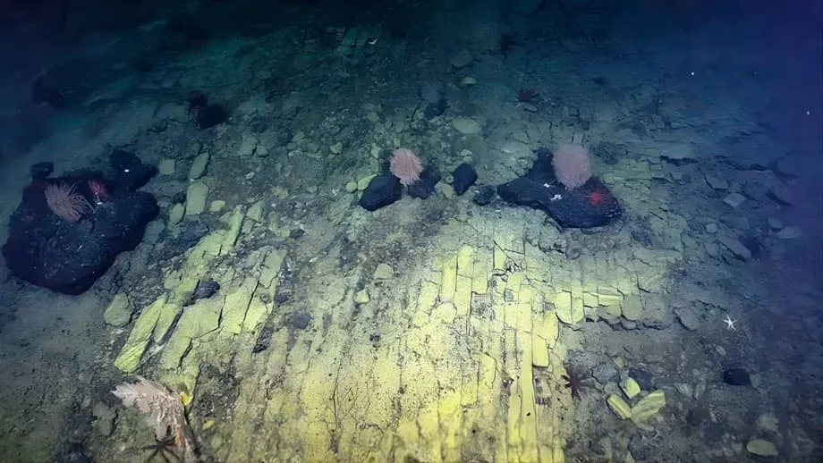 Estrada de tijolos amarelos no fundo do Pacífico: cientistas descobrem maravilha vulcânica