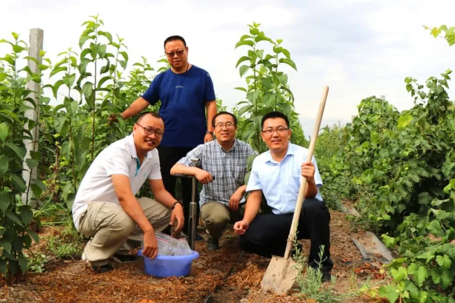 China cultiva borracha de grau militar no deserto de Gobi para garantir uma cadeia de suprimentos estratégica