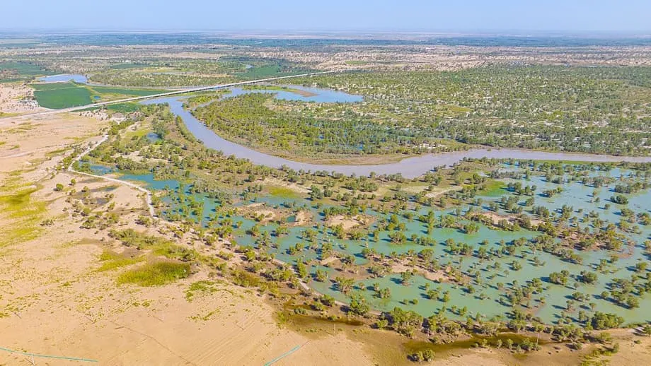 Grande Muralha Verde da China transforma o deserto de Taklamakan em sumidouro de carbono