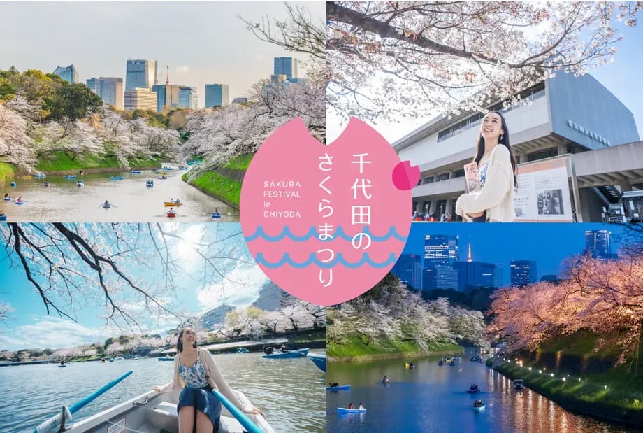 Festival das Cerejeiras de Chiyoda 2026 transforma a região do Palácio Imperial de Tóquio em uma celebração de primavera que dura quase dois meses