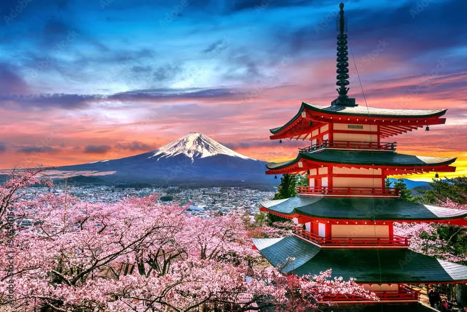 Japanese Pagoda With Cherry Blossoms Drawings Cherry Blossoms Calling: