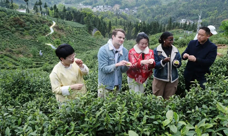 Pesquisadores estrangeiros encontram uma nova modernidade nos modelos de governança da China