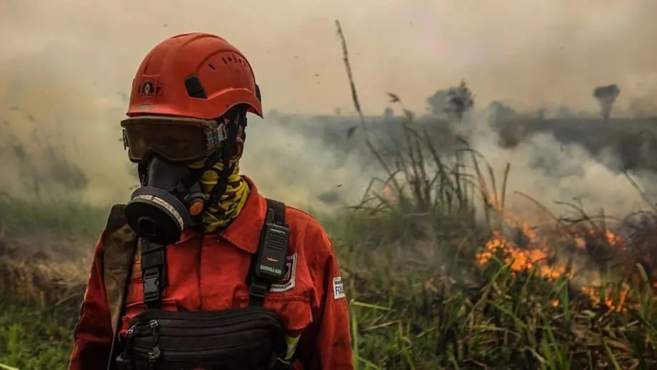 Fumaça tóxica de incêndios florestais se espalha pelo Sudeste Asiático à medida que o super El Niño se intensifica