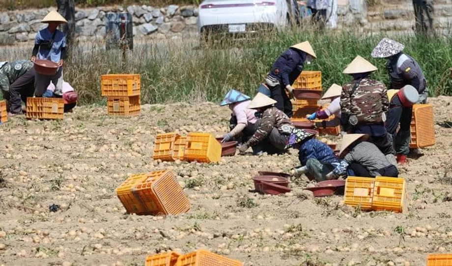 Coreia recorre à imigração, mas estudo alerta que medida não impedirá declínio demográfico