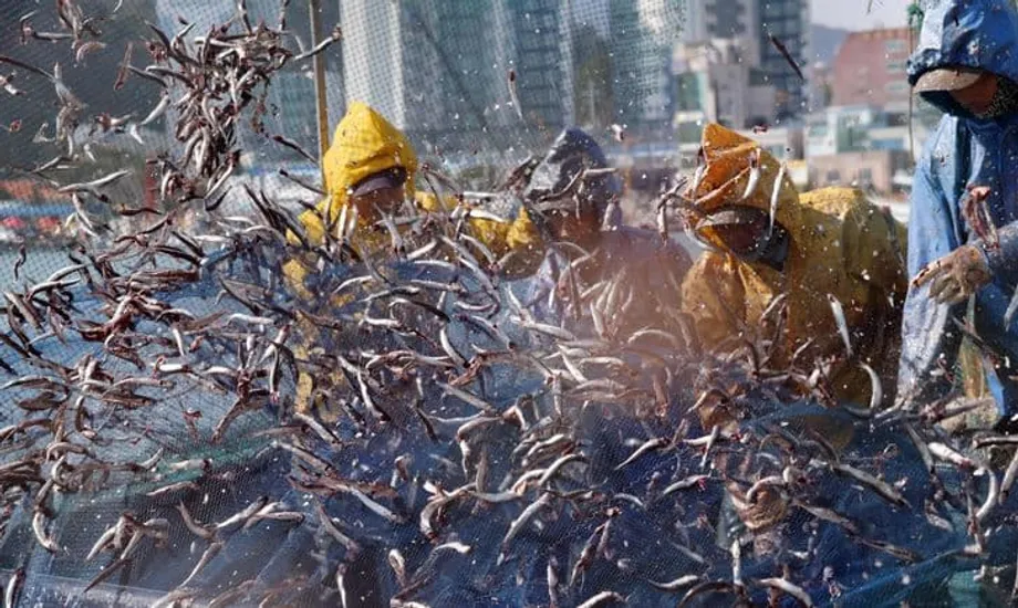 Trabalhadores estrangeiros qualificados na Coreia do Sul superam renda de US$ 2 mil enquanto país enfrenta crise demográfica