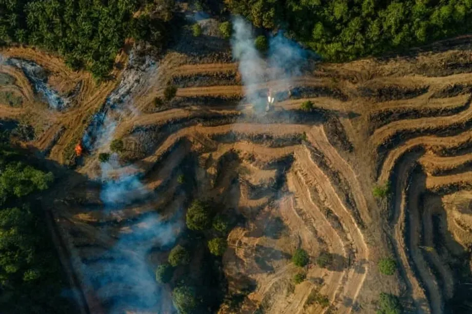 Investigação de fraude com óleo de palma na Indonésia liga grandes empresas europeias de energia a esquema de rotulagem fraudulenta