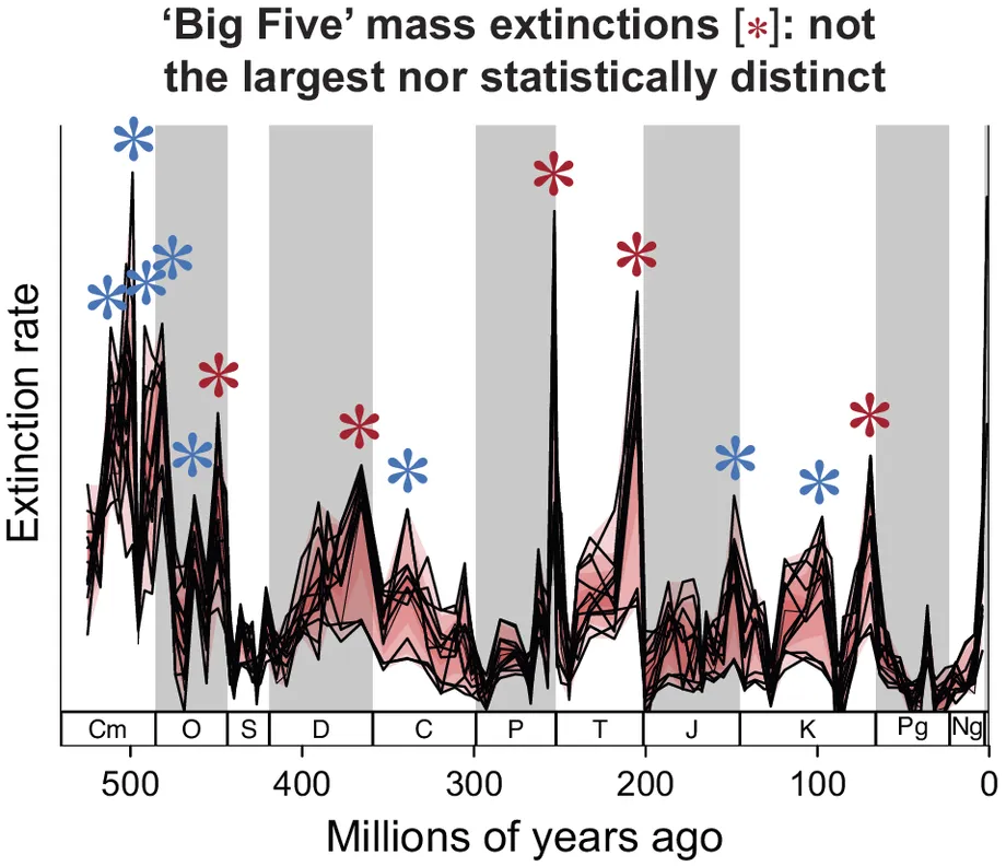 AI Model Trained on Nearly Four Million Fossils Challenges the Big Five Extinction Story
