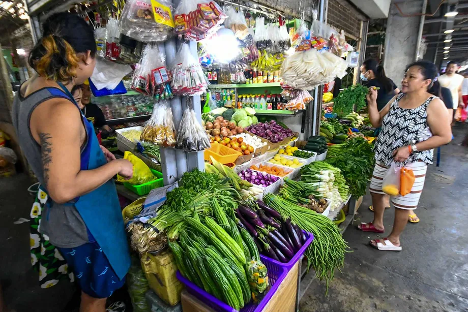 Philippine Farm Budget Faces Scrutiny Over ₱15 Billion in Projects Without Public Documents