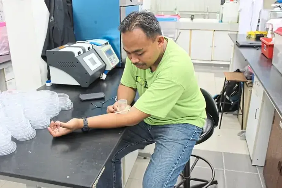 Percevejos como evidência forense: cientistas malaios revelam novas pistas em cenas de crime