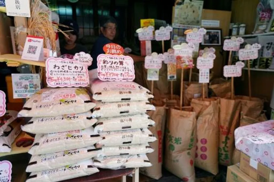 Disparada no preço do arroz no Japão: causas, consequências e a luta pela segurança alimentar